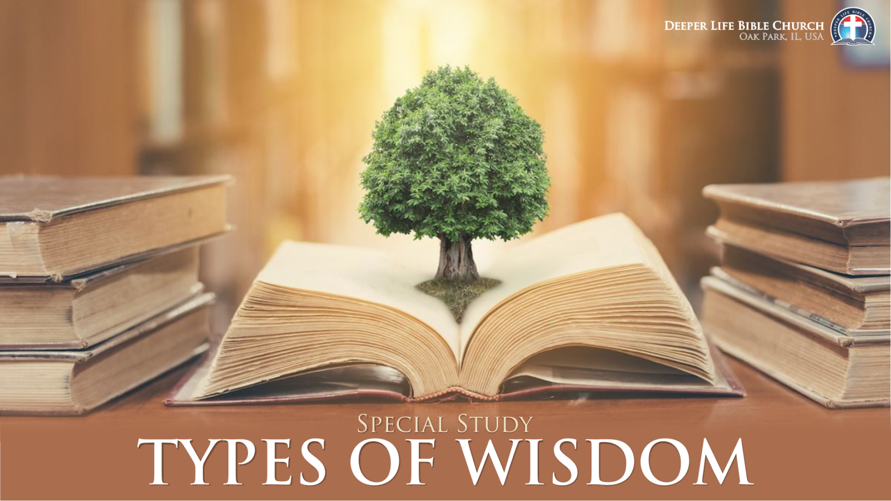 Types of Wisdom – Part 1