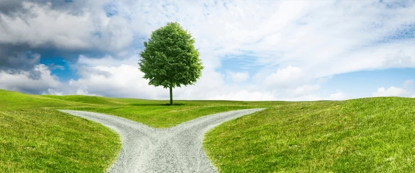 Knowing God’s Will in Every Season of Life